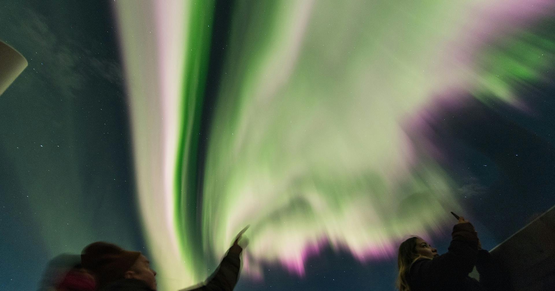 People observing aurora