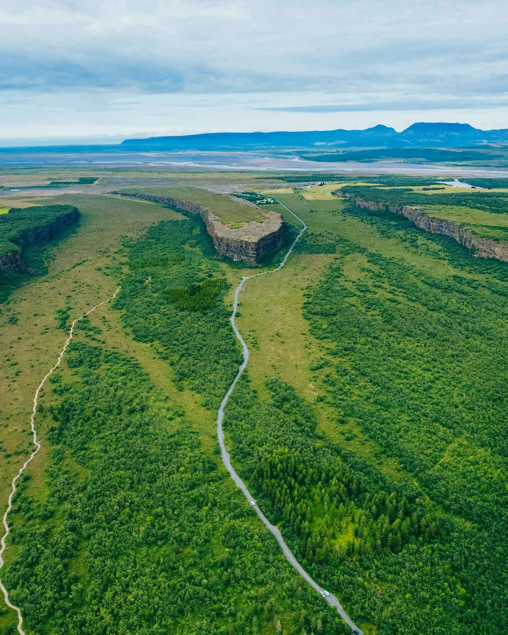 Green scenery at Asbyrgi canyon in Iceland