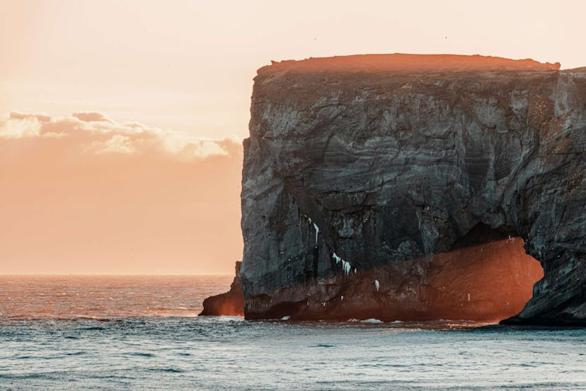 Sea cliff in Iceland