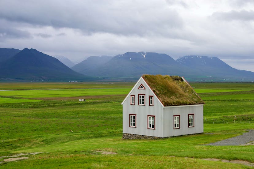 Summer Iceland green