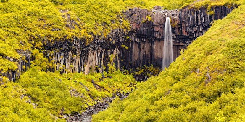 svartifoss waterfall in iceland