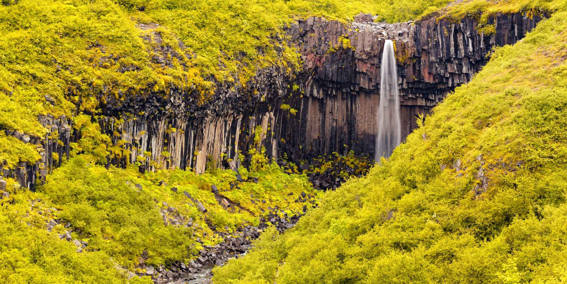 Svartifoss waterfall, Iceland