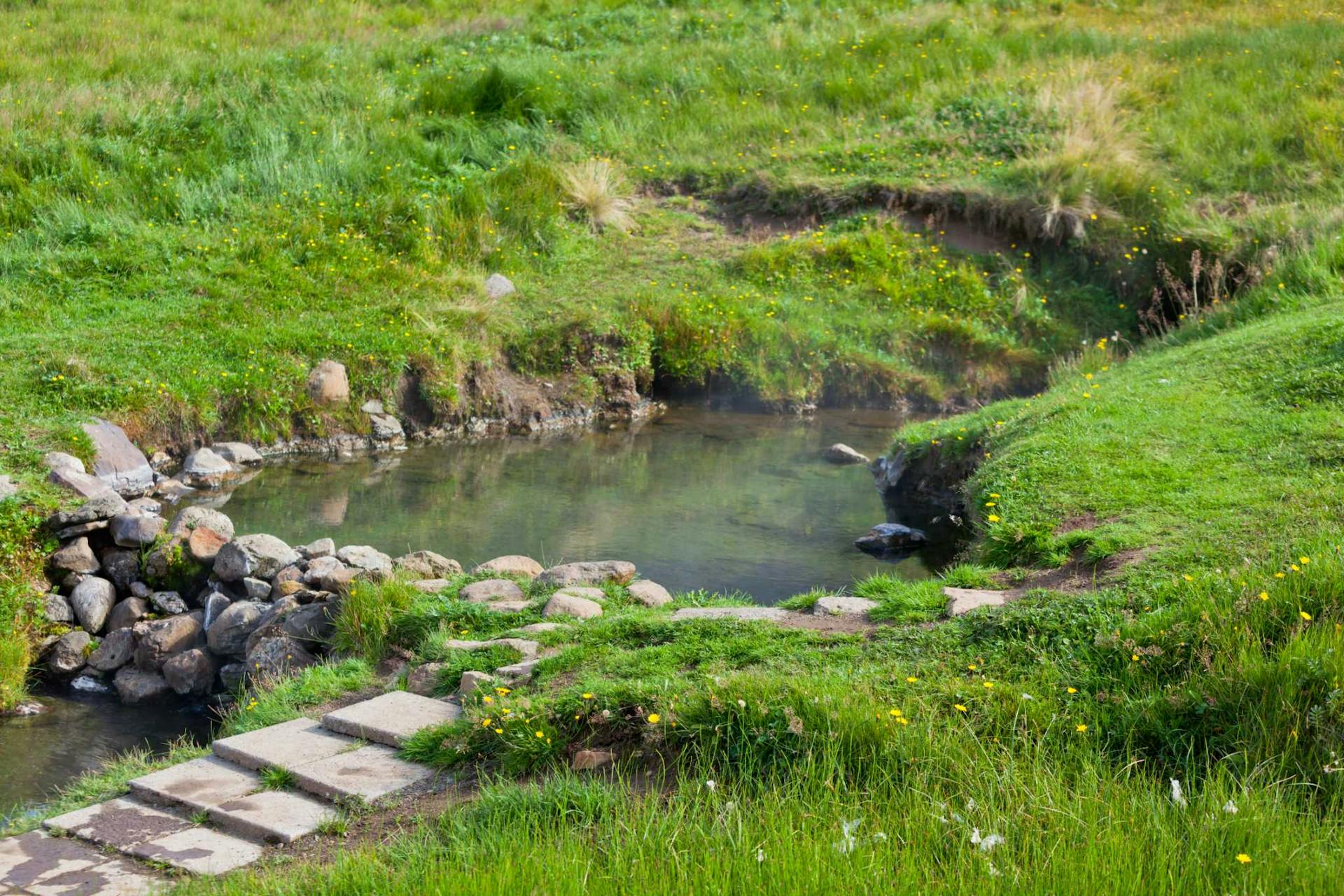 Geothermal nature bath in Iceland