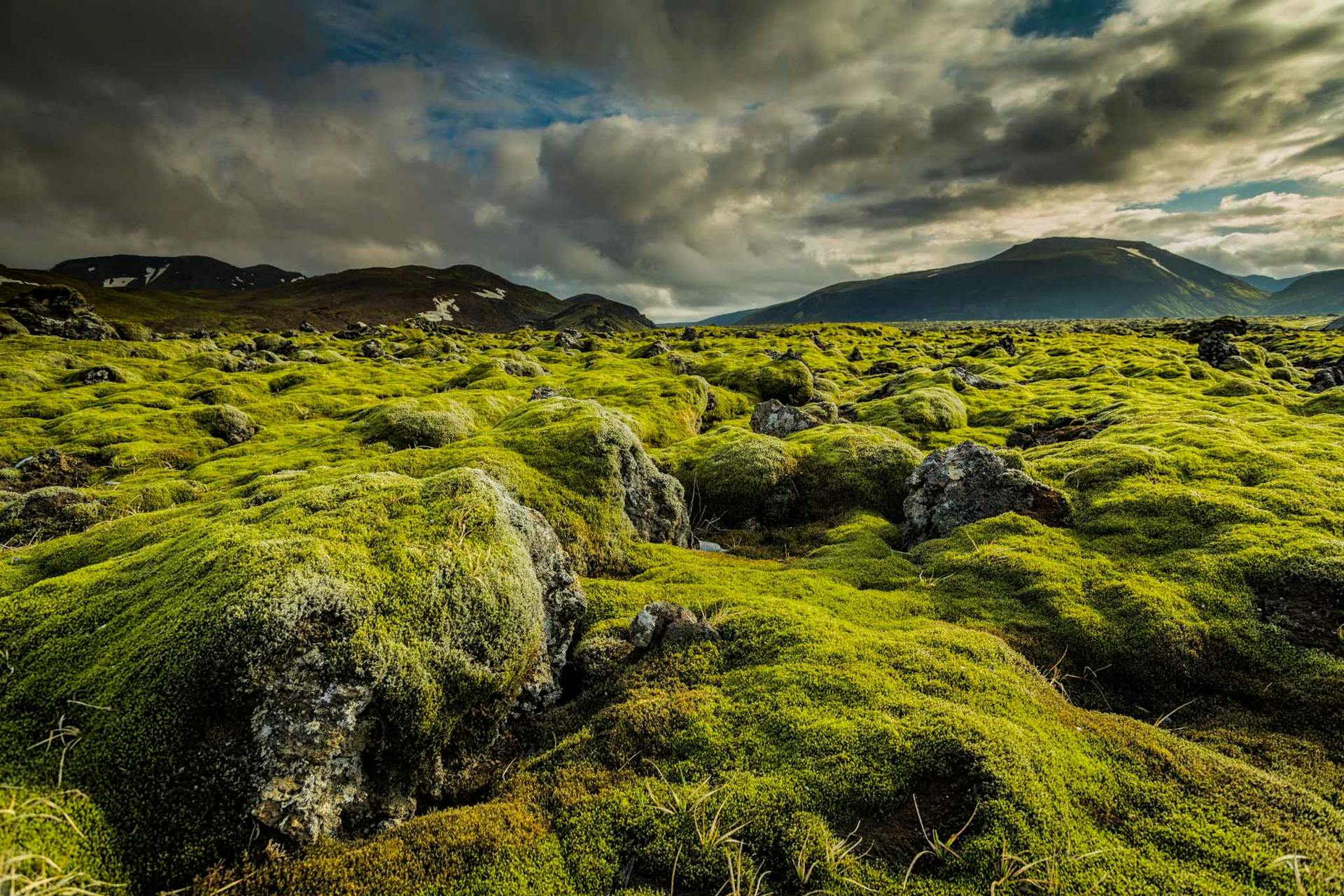 Icelandic green nature