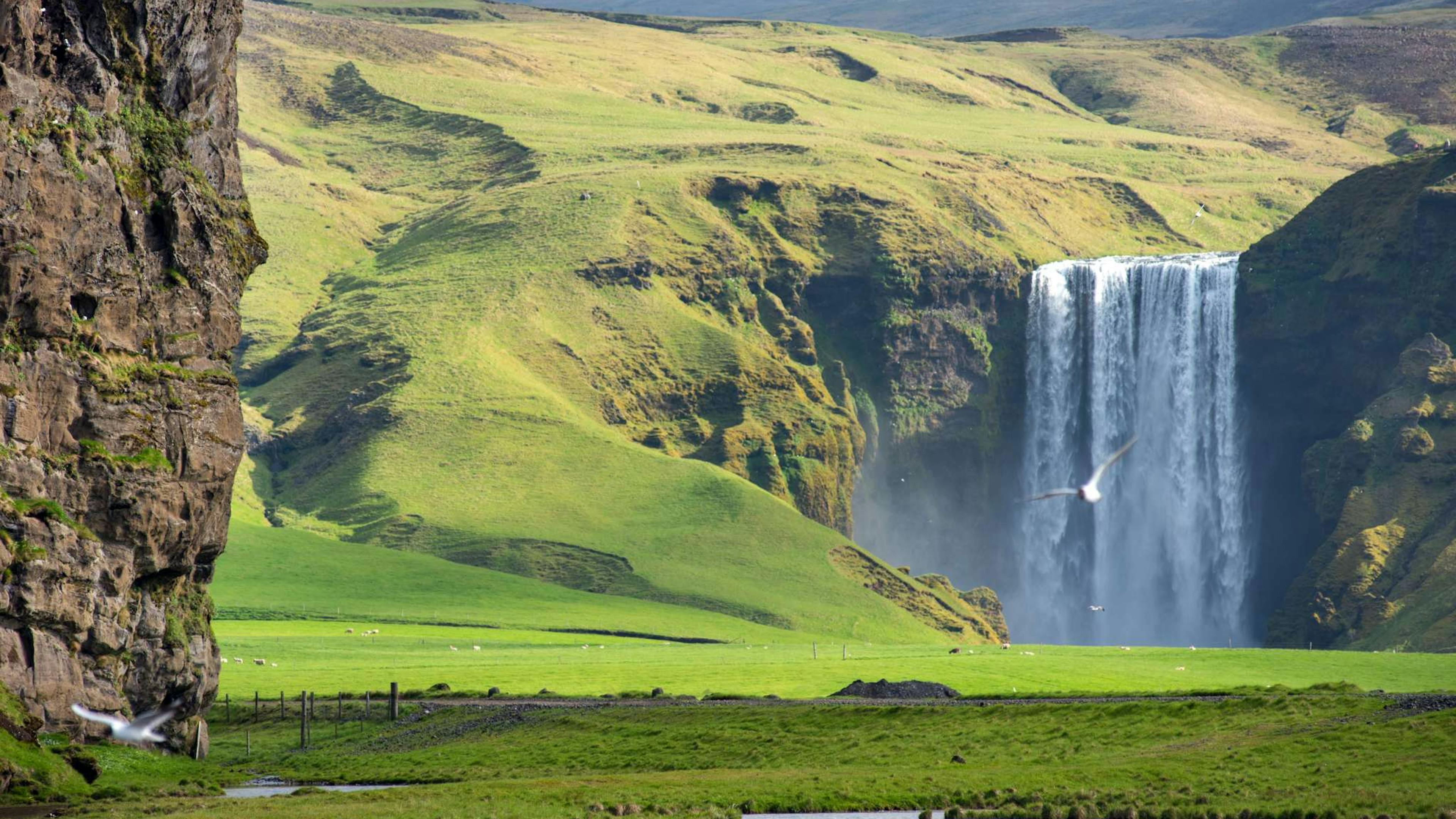 Skogafoss waterfall during summer in Iceland