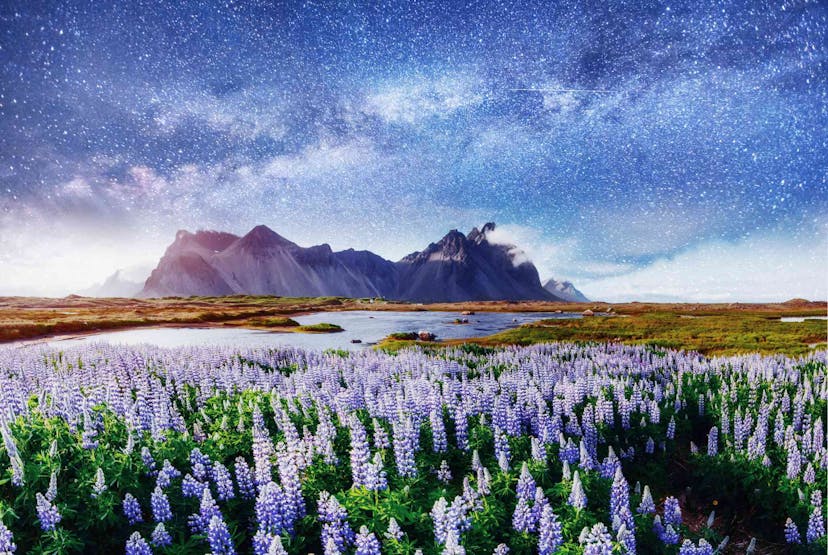 Stokksnes beach with starry sky above