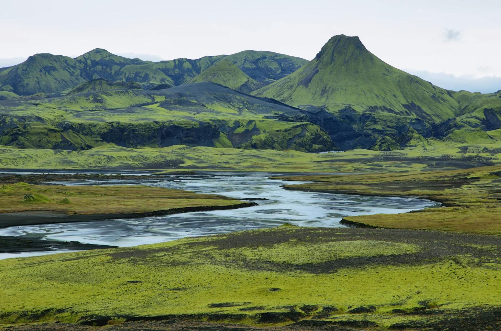 Green scenery in Iceland