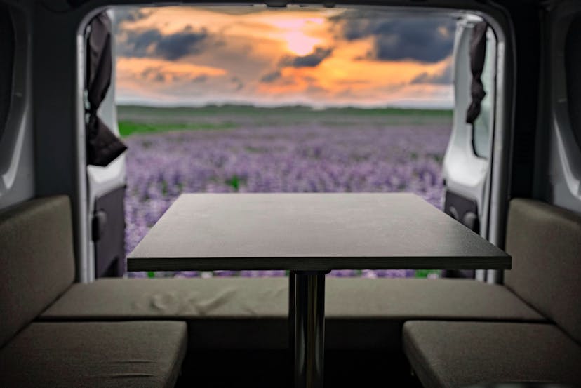 Iceland Campers Sunset nature lupin