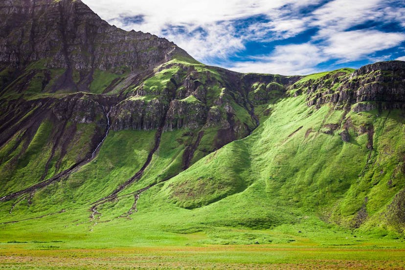 Green summer in Iceland