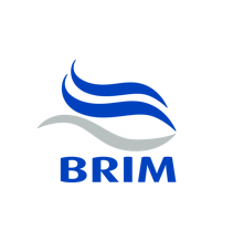 Brim logo