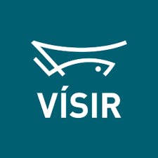 Vísir logo