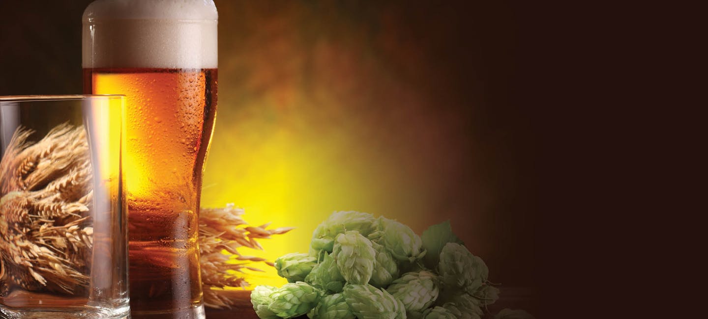 ICIB partners with the Brewers Guild of New Zealand