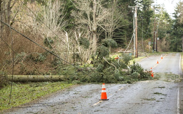 Extreme weather claims for Christchurch and Wellington