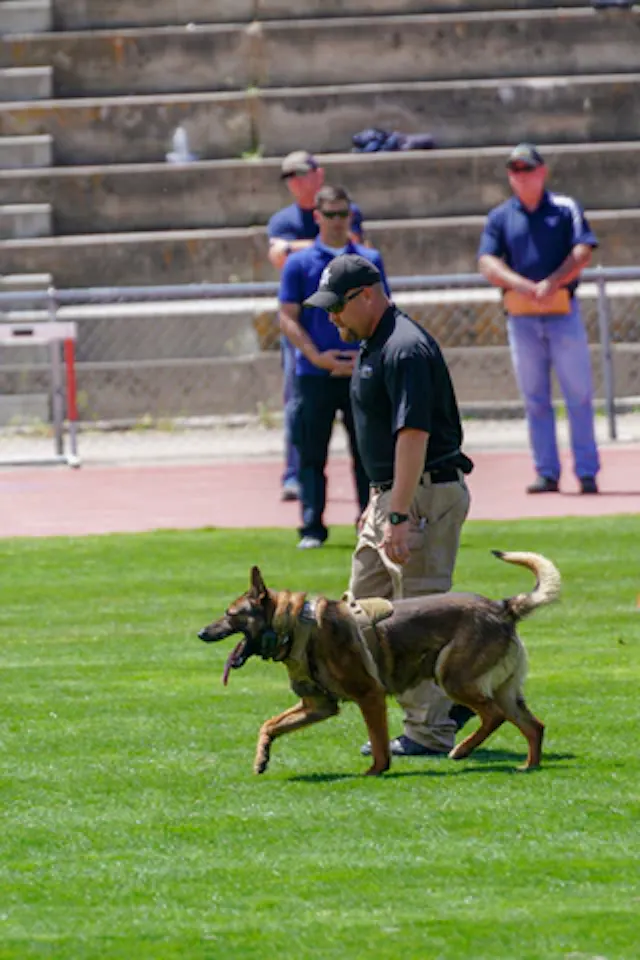 Chris and Tango doing training exercises.