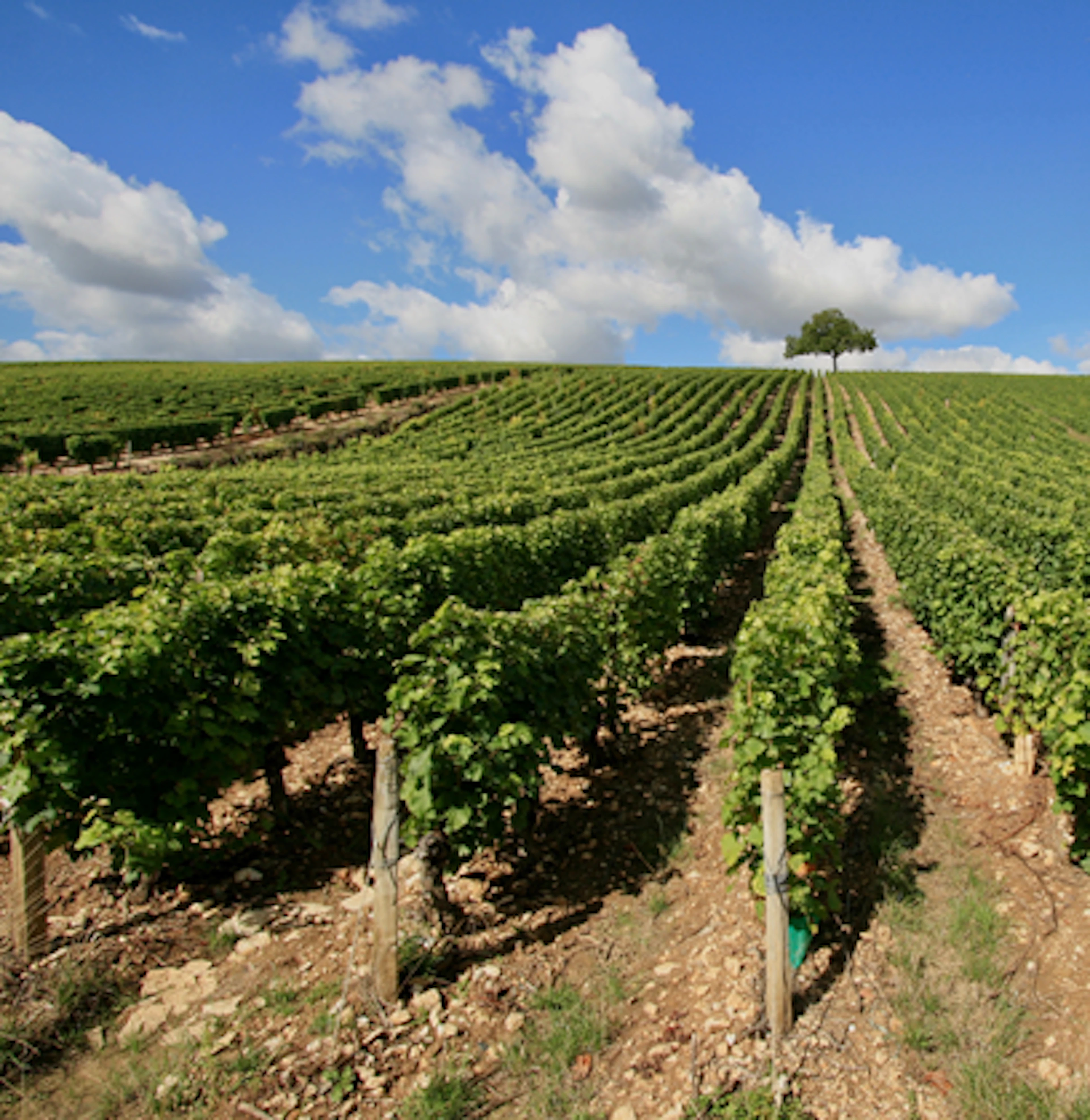 Gaillac