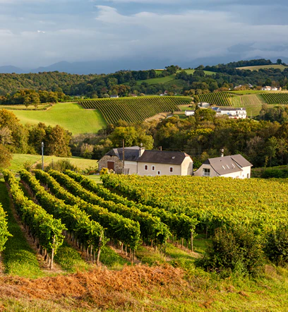 Jurançon Sec
