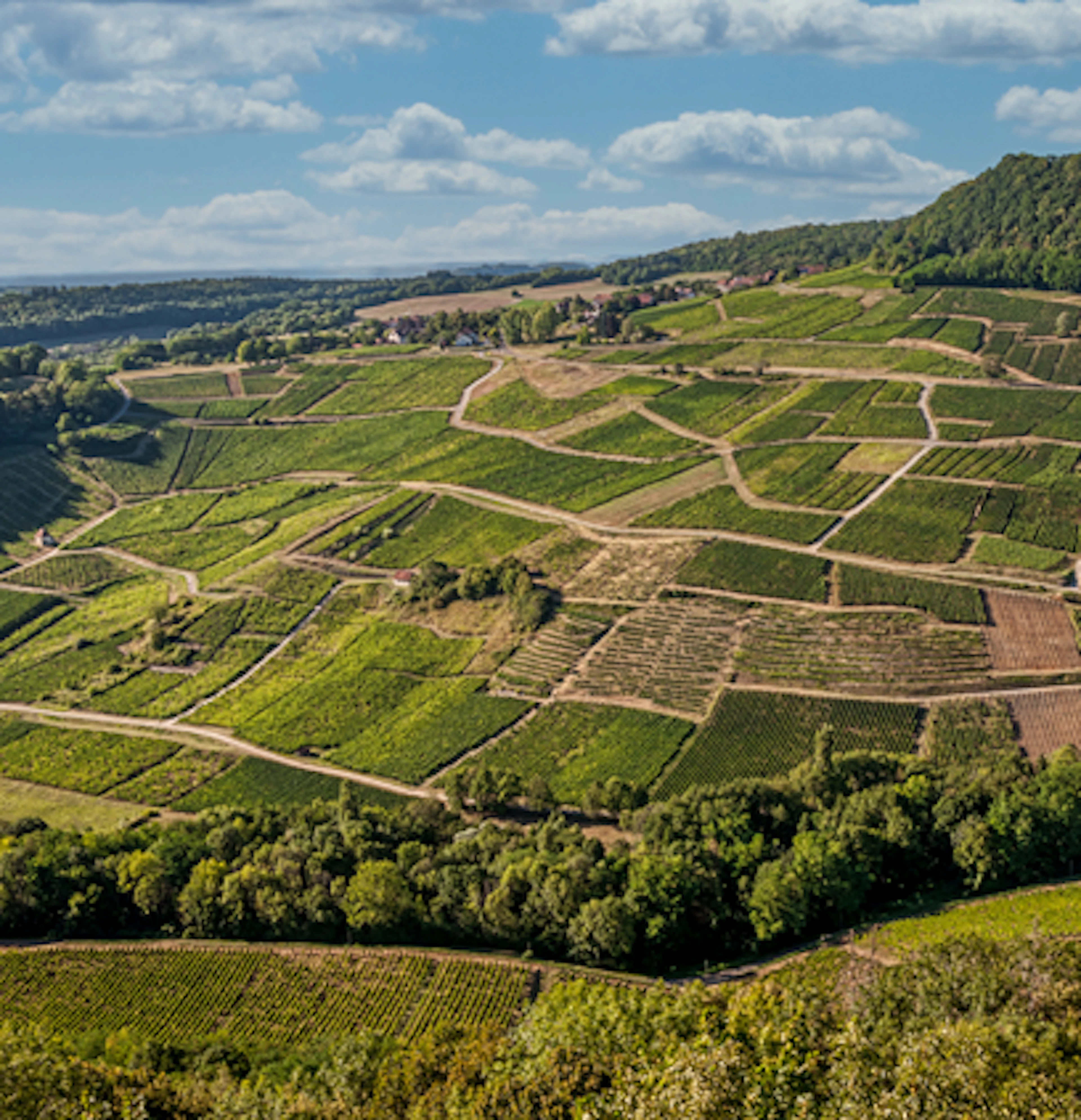 Crémant du Jura
