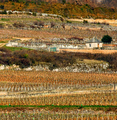 Criots-Bâtard-Montrachet