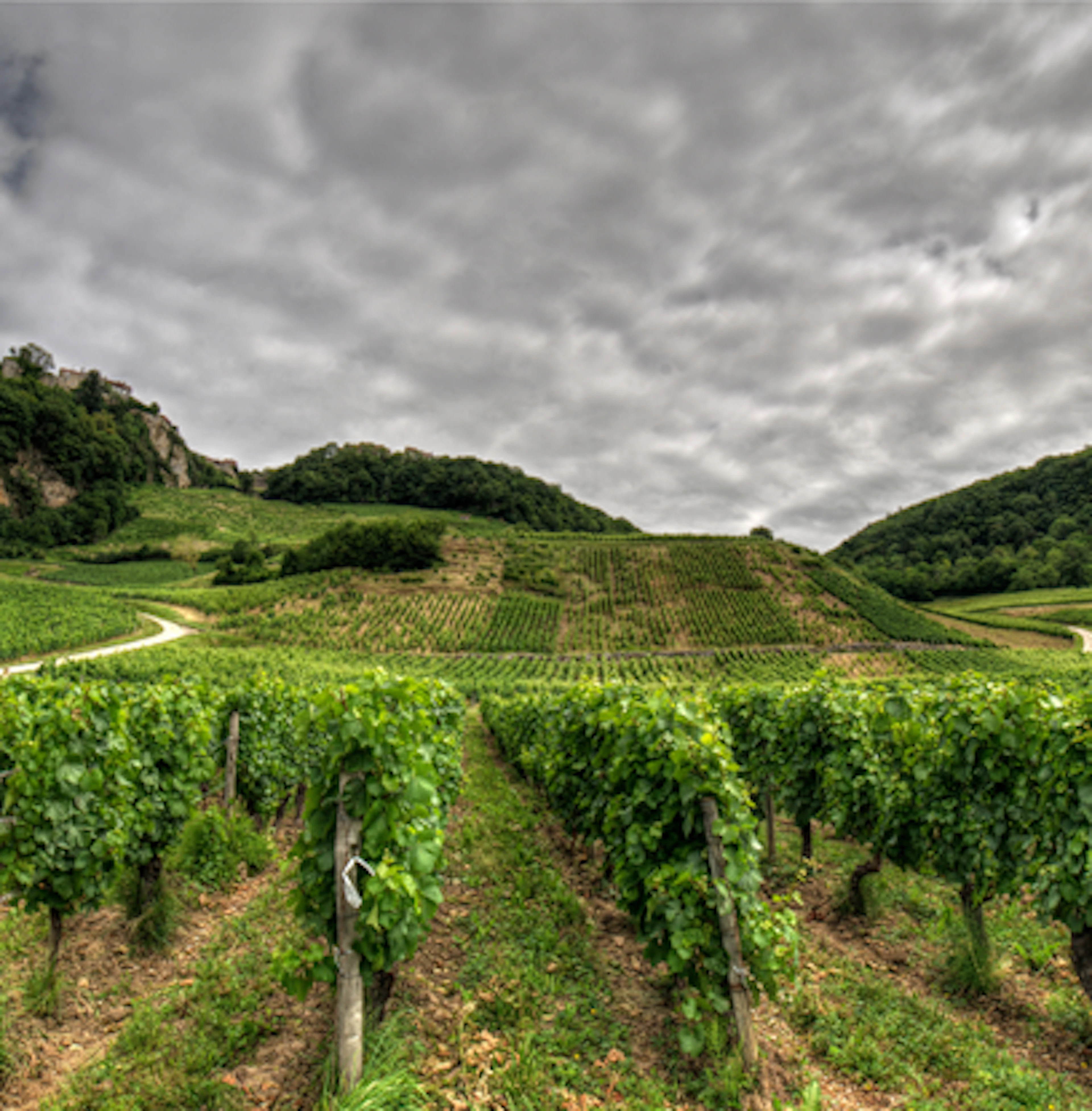 Côtes du Jura