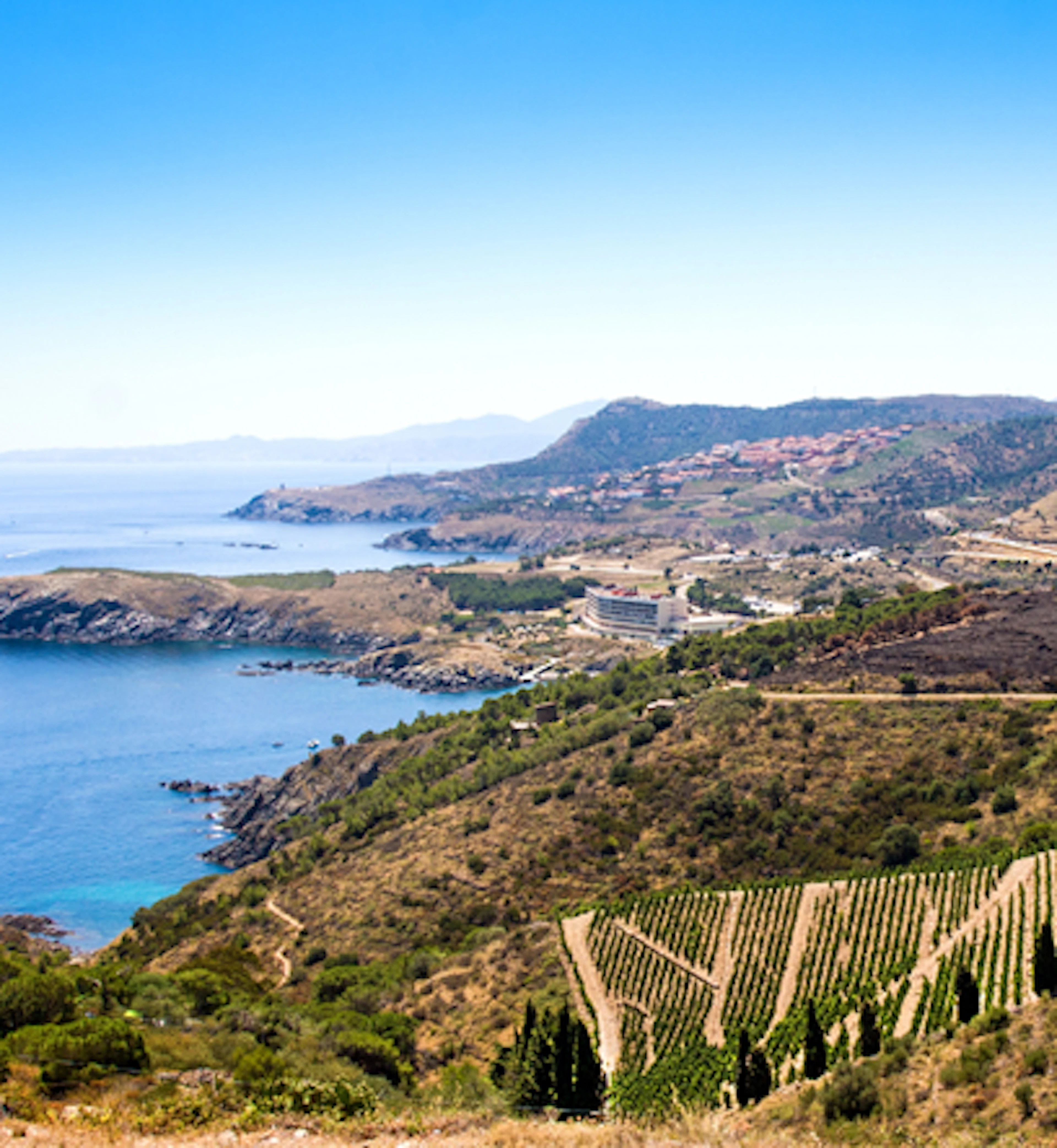 Banyuls