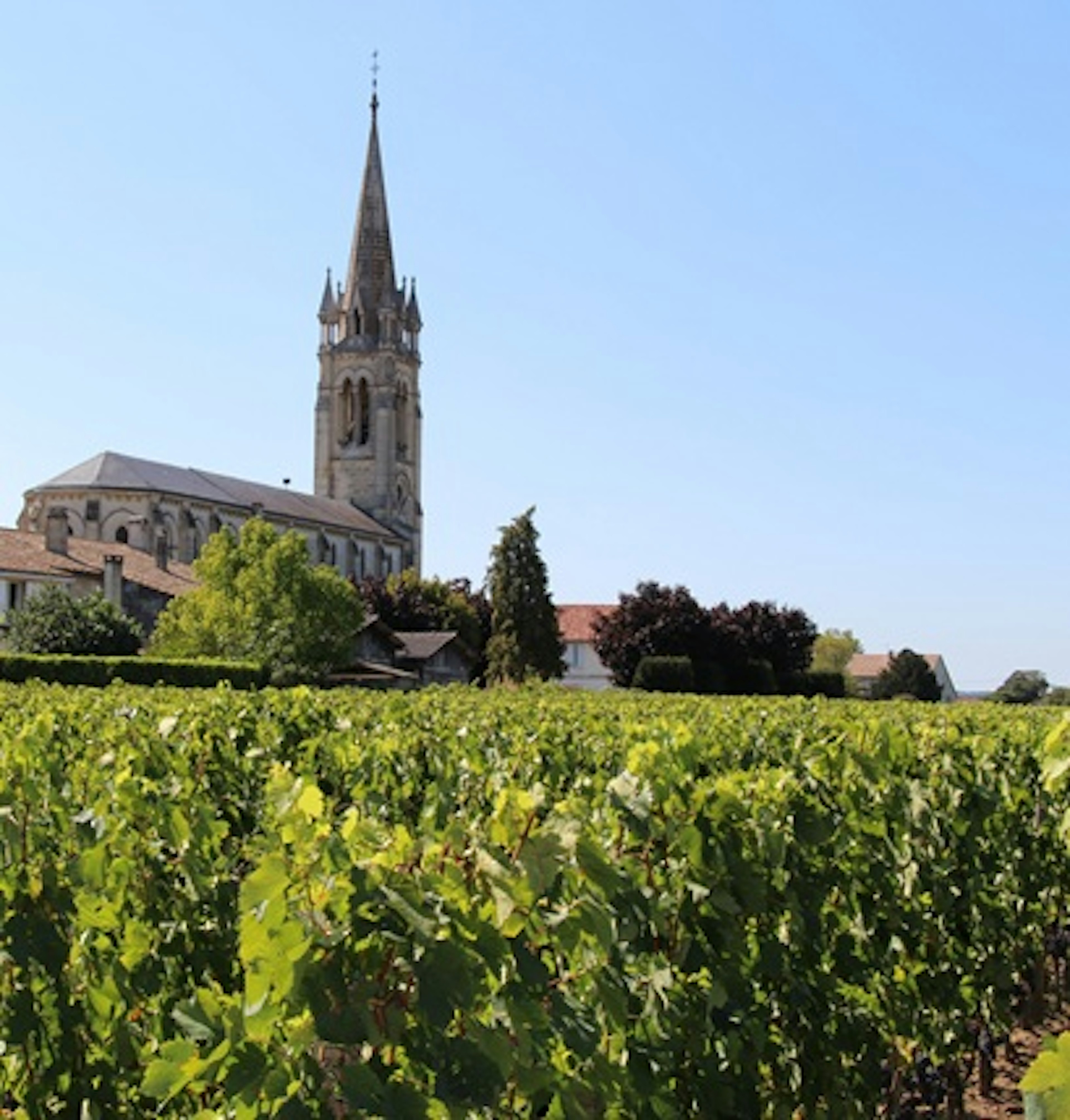 pomerol