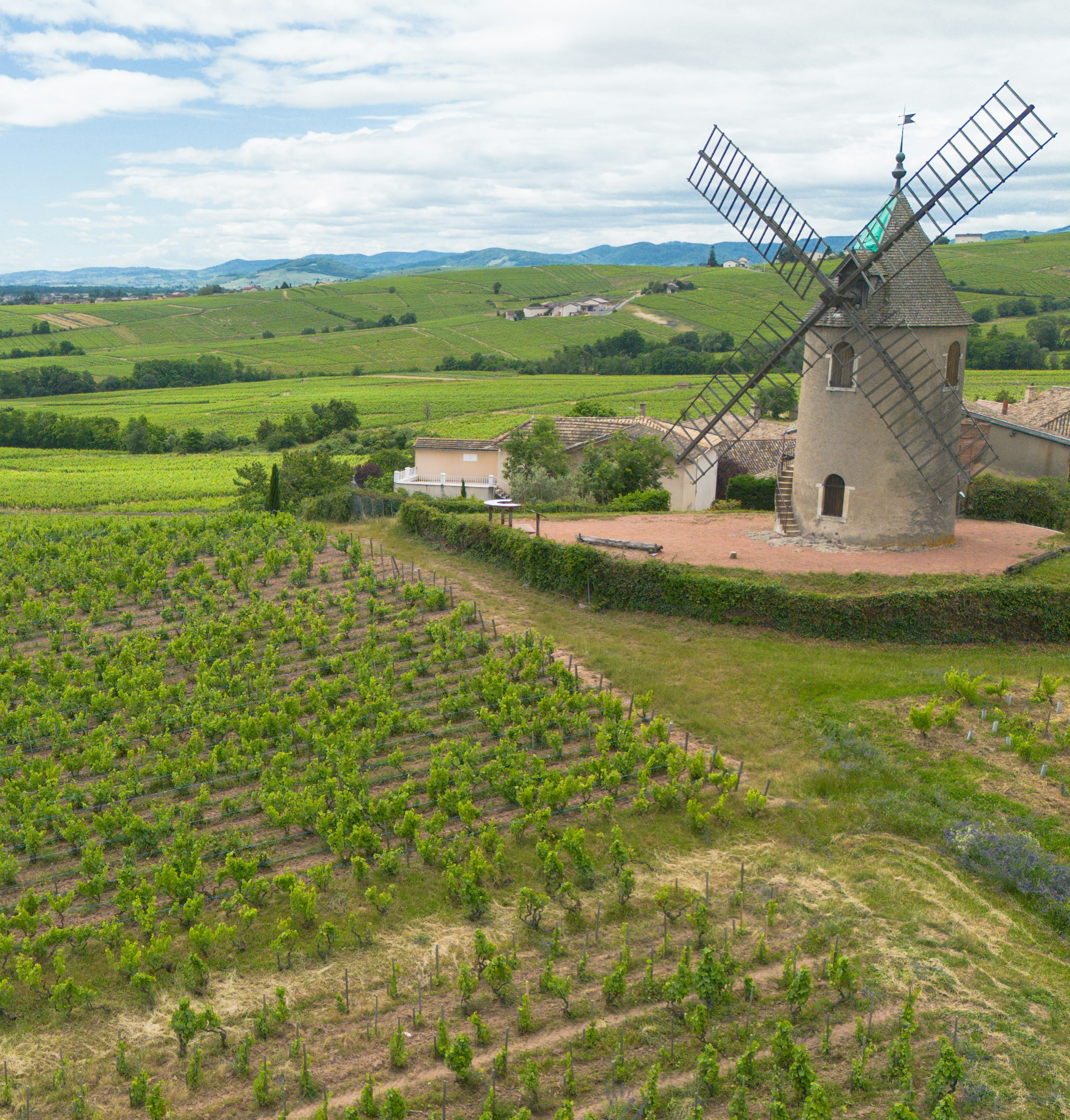 moulin-à-vent