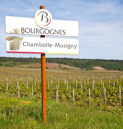 Appellation-Chambolle-musigny