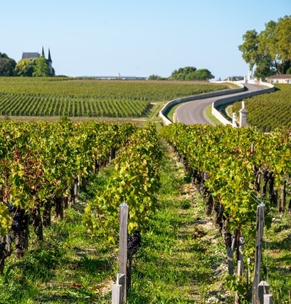 haut-médoc