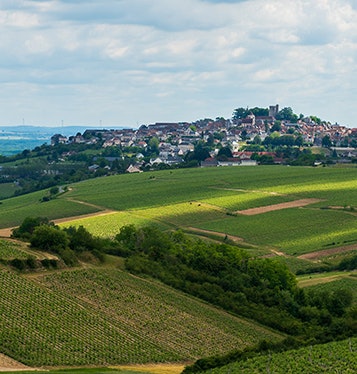 sancerre