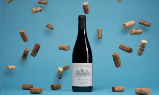 Acheter vin Saint-Véran Solis Alba Jean-François Gonon 2023 (lot: 2716384)