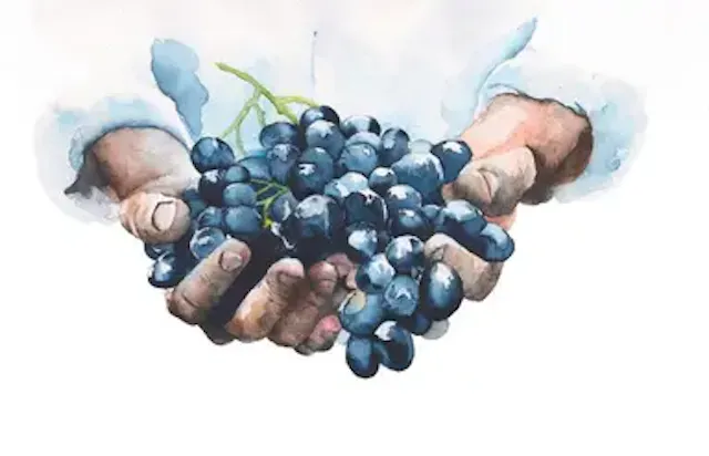 Primeurs de Bordeaux iDealwine
