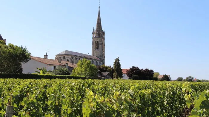 Saint Emilion church and vineyard