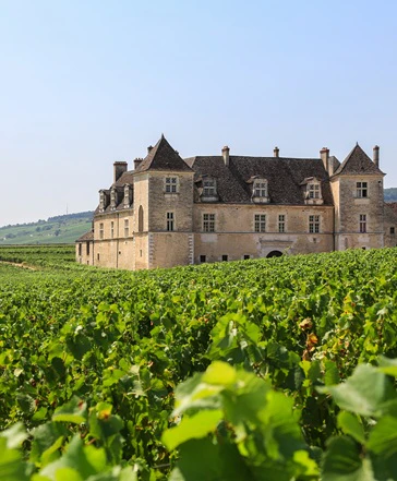 aoc clos de vougeot