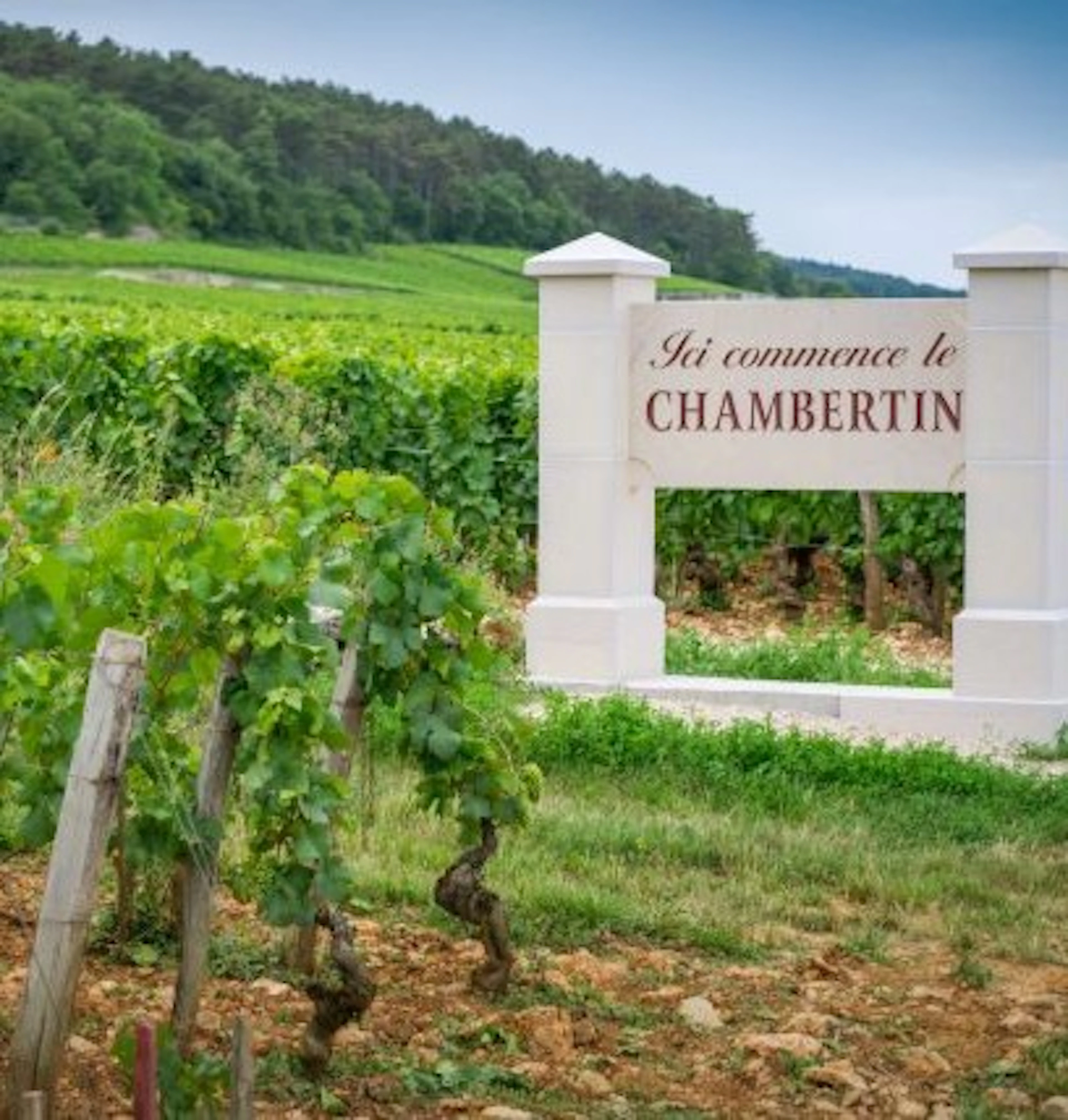 chambertin