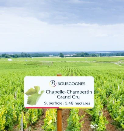 chapelle-chambertin