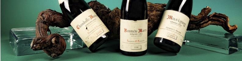 Cote Vin de France Chemin de la brune L'Anglore 2022 Vallée du