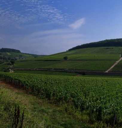 bonnes-mares