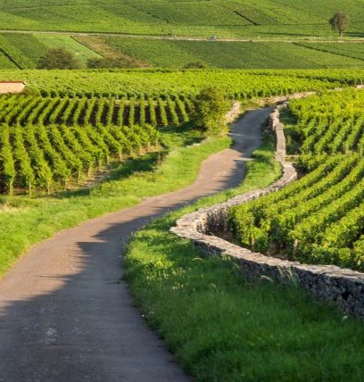 chorey-lès-beaune