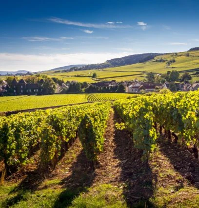 hautes-côtes de beaune