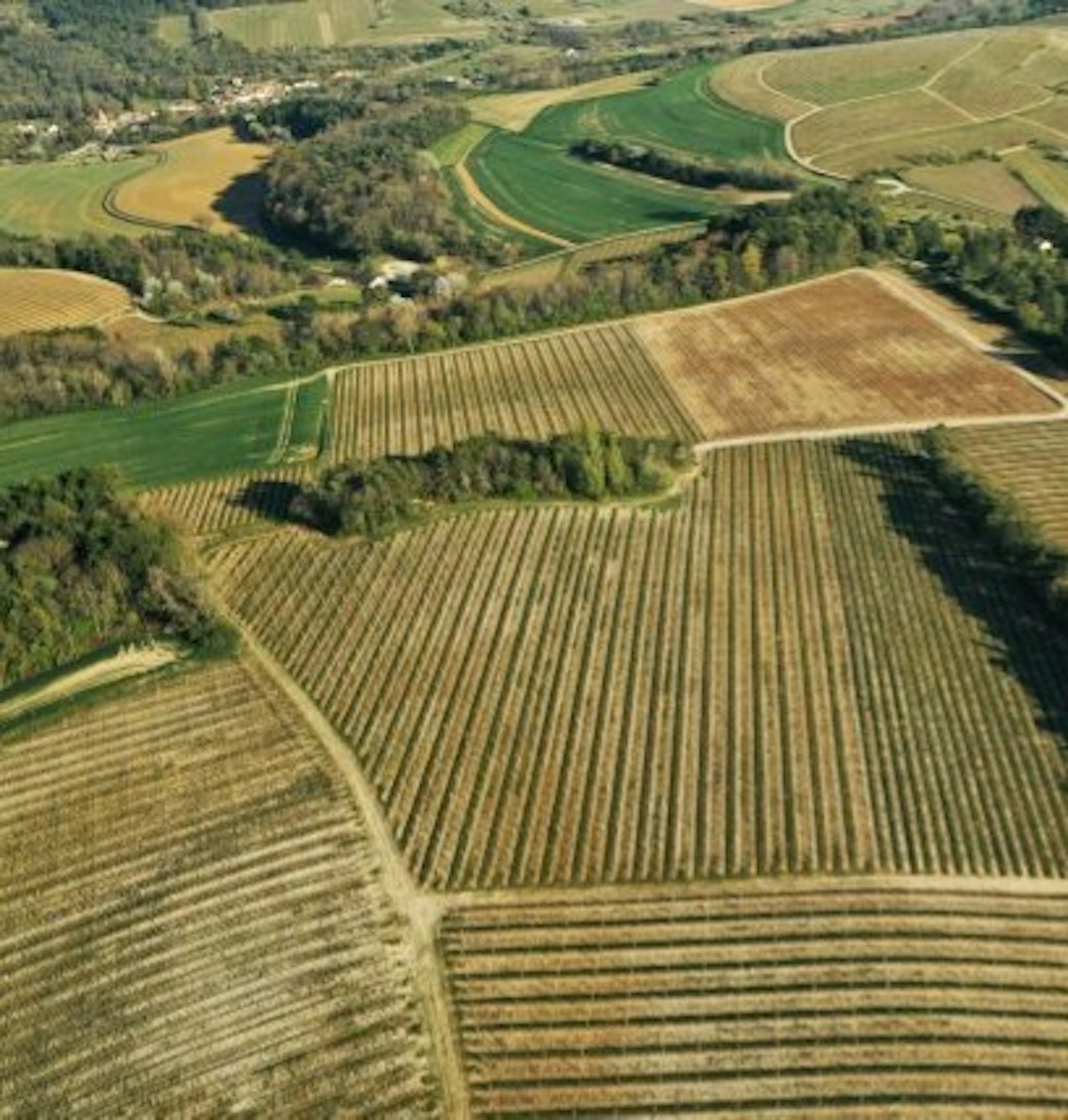 hautes-côtes de nuits