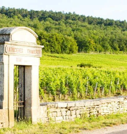 latricières chambertin