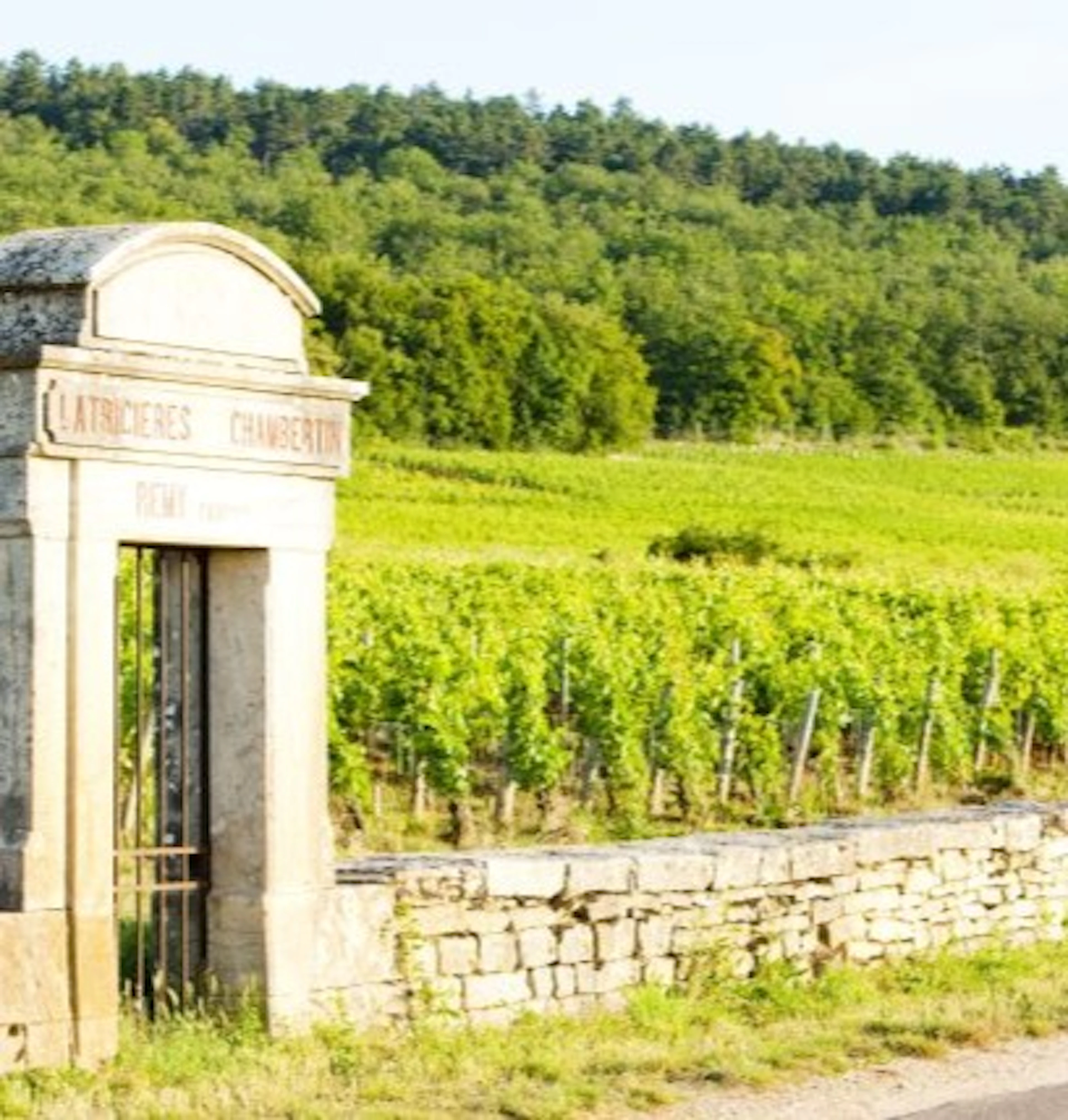 latricières chambertin