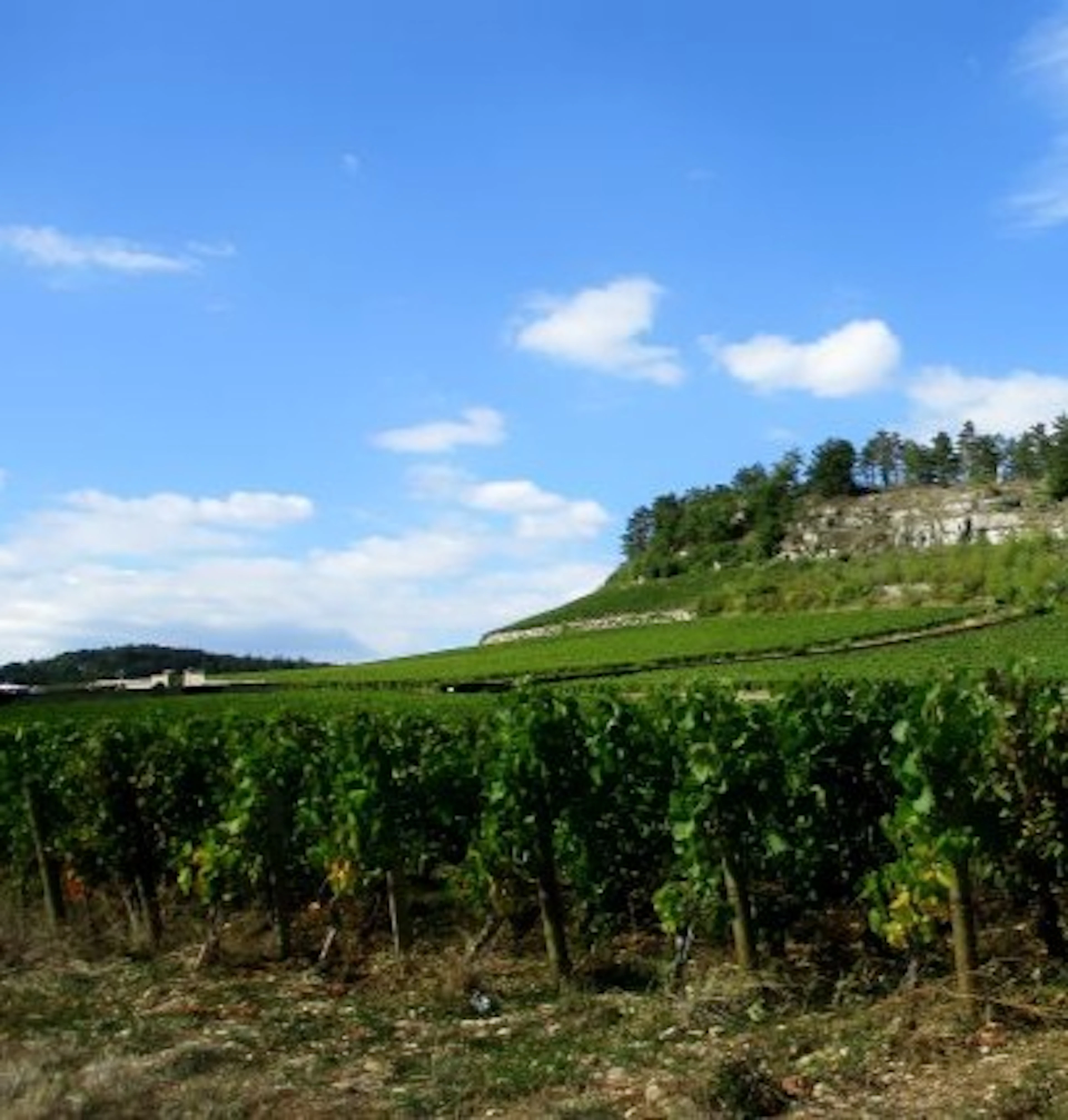 mercurey