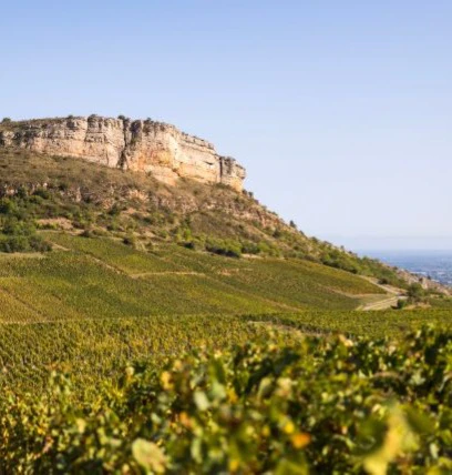 pouilly fuissé