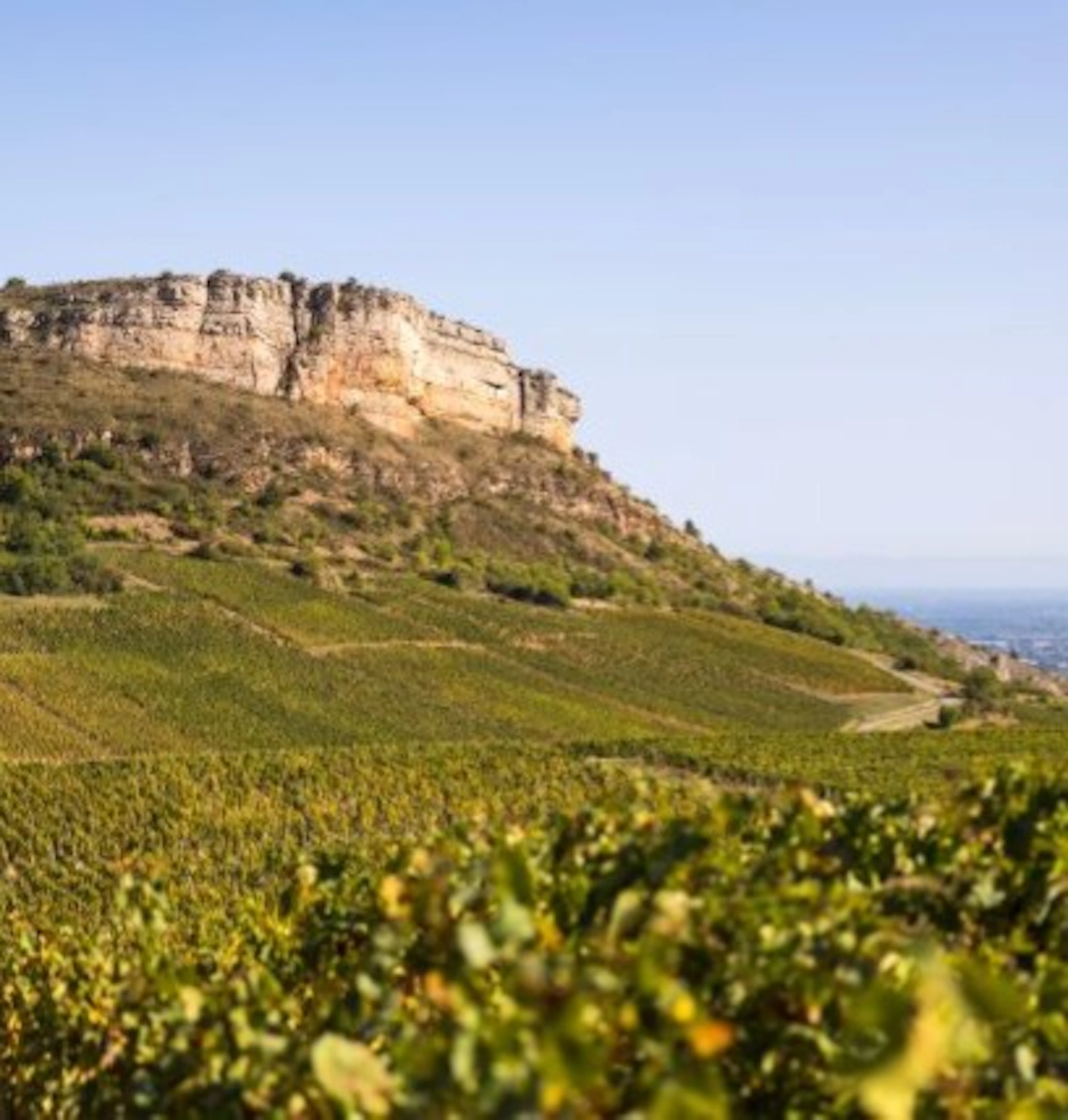 pouilly fuissé