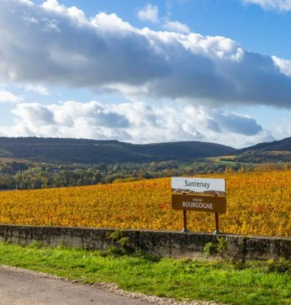 santenay