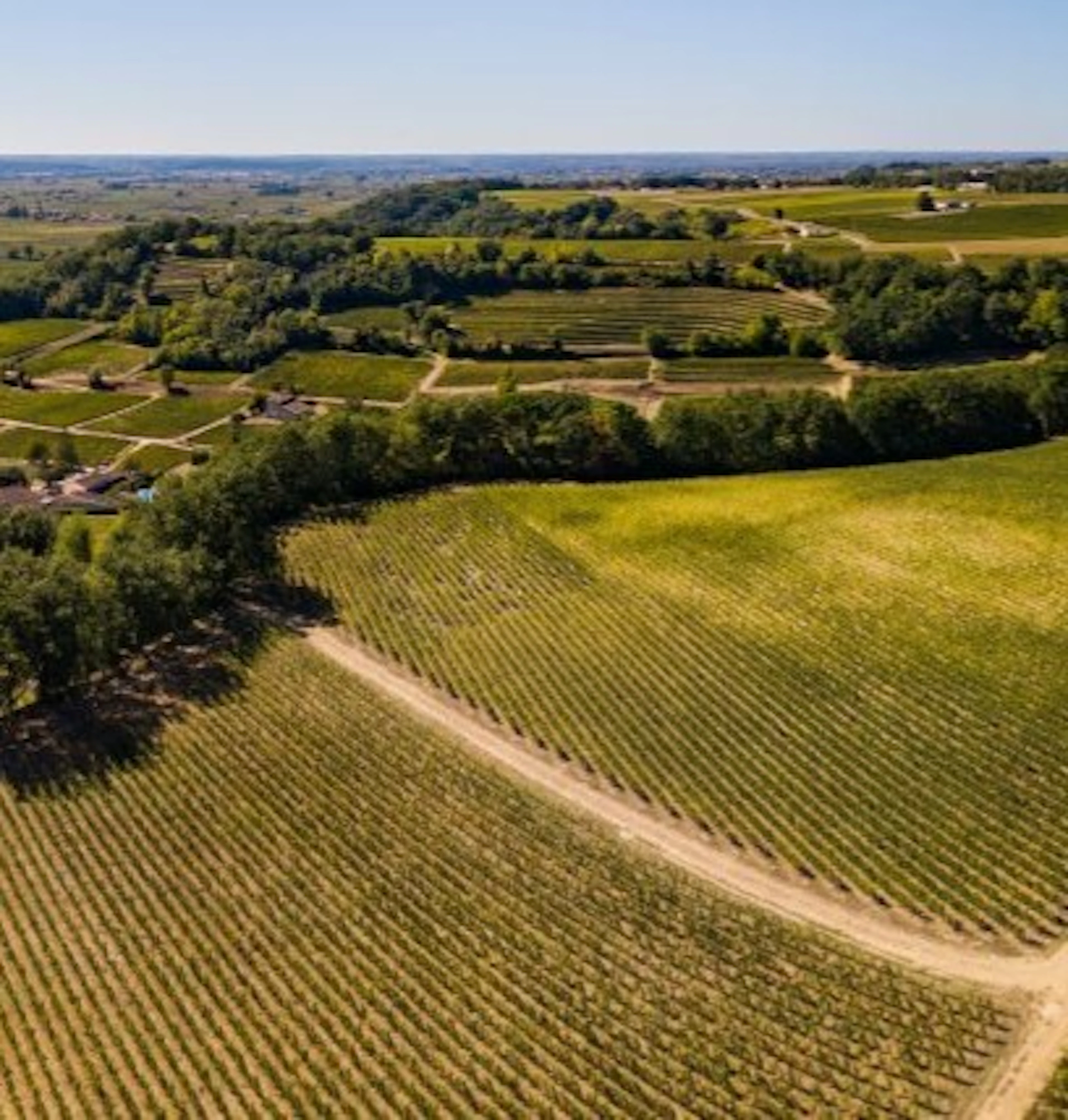 montagne saint émilion