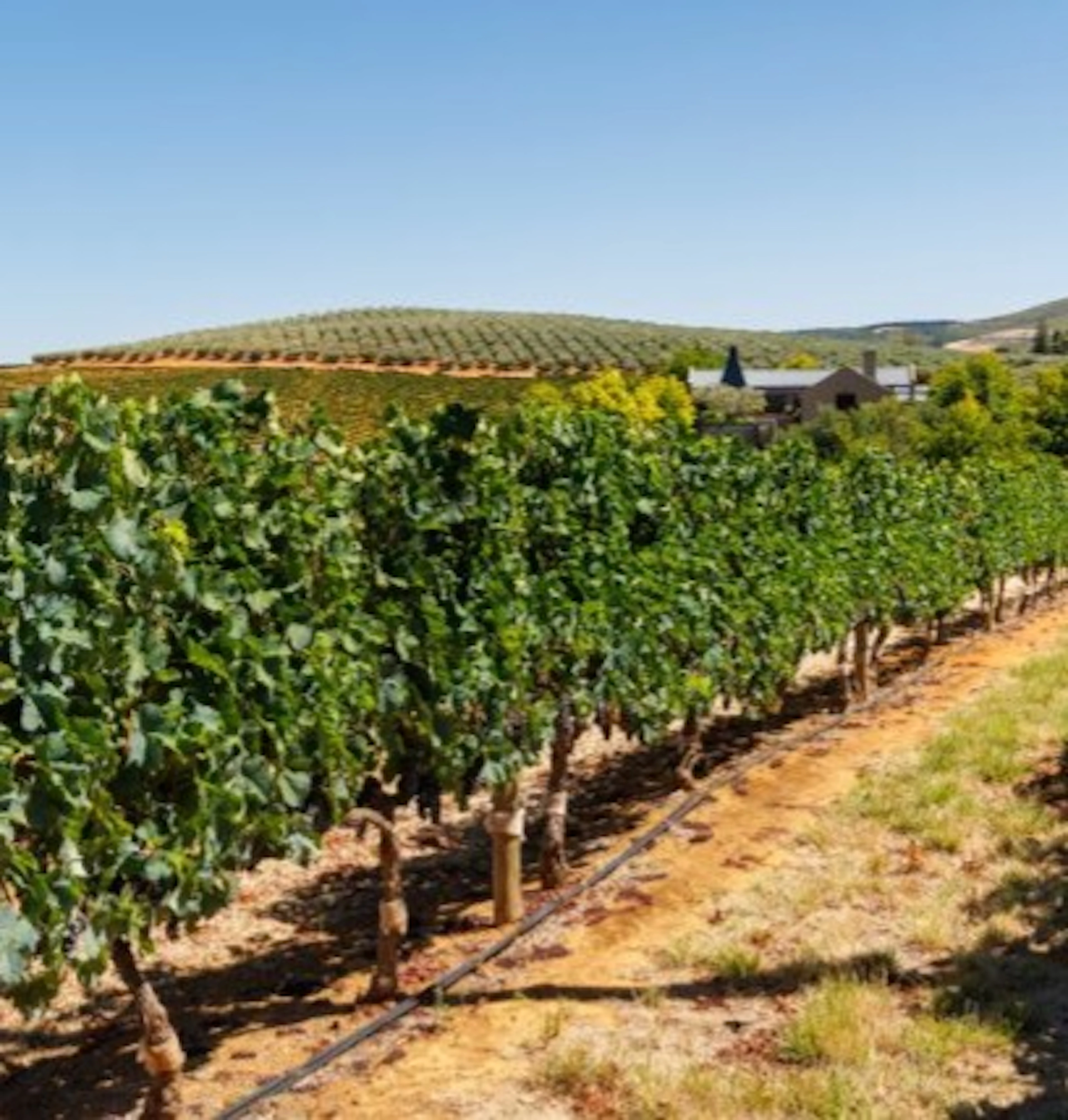 fronsac