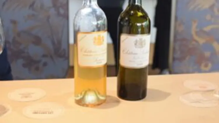 Sauternes 2025