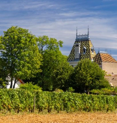 aloxe-corton